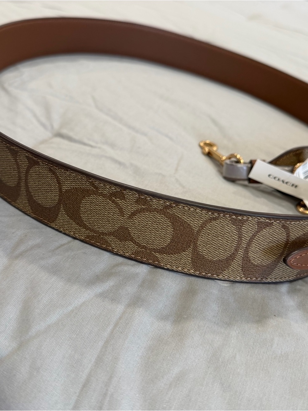 Brown Signature Canvas Strap - Picture 3 of 4